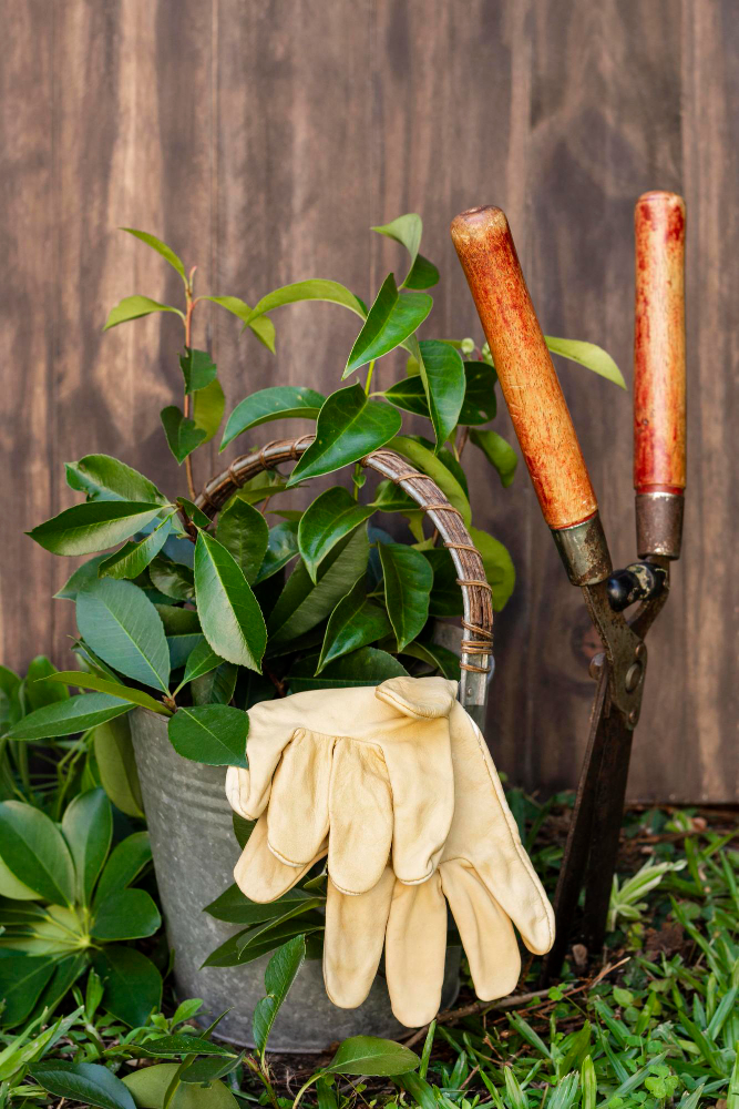  Gardening